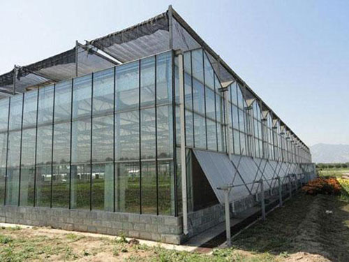 玻璃溫室大棚5